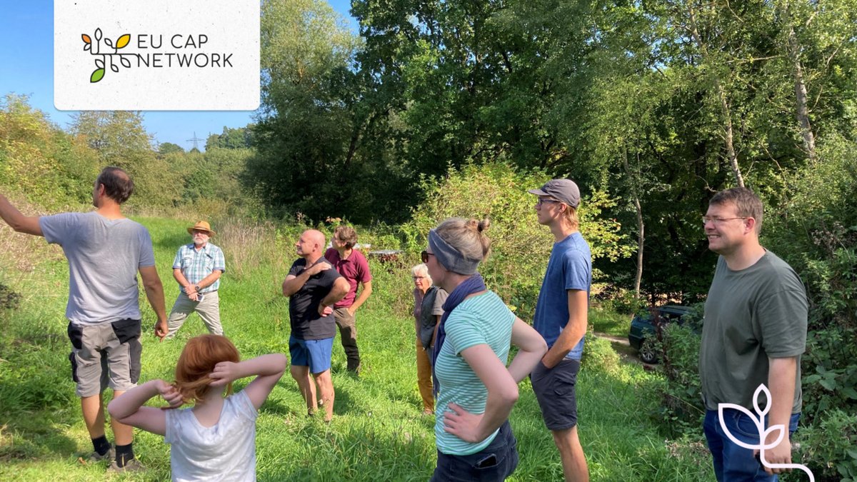 eucapnetwork's tweet photo. 💡 Inspirational idea  from Hesse, 🇩🇪
🌳 #OperationalGroup Sustainable bee forest works on ‘forests of the future’ to address climate change
🐝 Forests with a high ecological value for flower-pollinating insects 👇 
https://t.co/HtcrlNDm93 https://t.co/GLZKD57E0Q