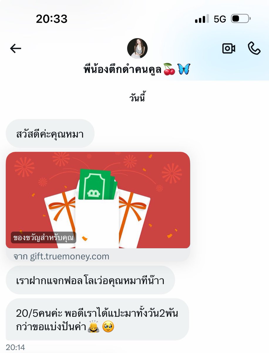 🐺 𓊆 หมาน้อยถุงเงิน 𓊇 ╺̱ 𓊓 tweet media