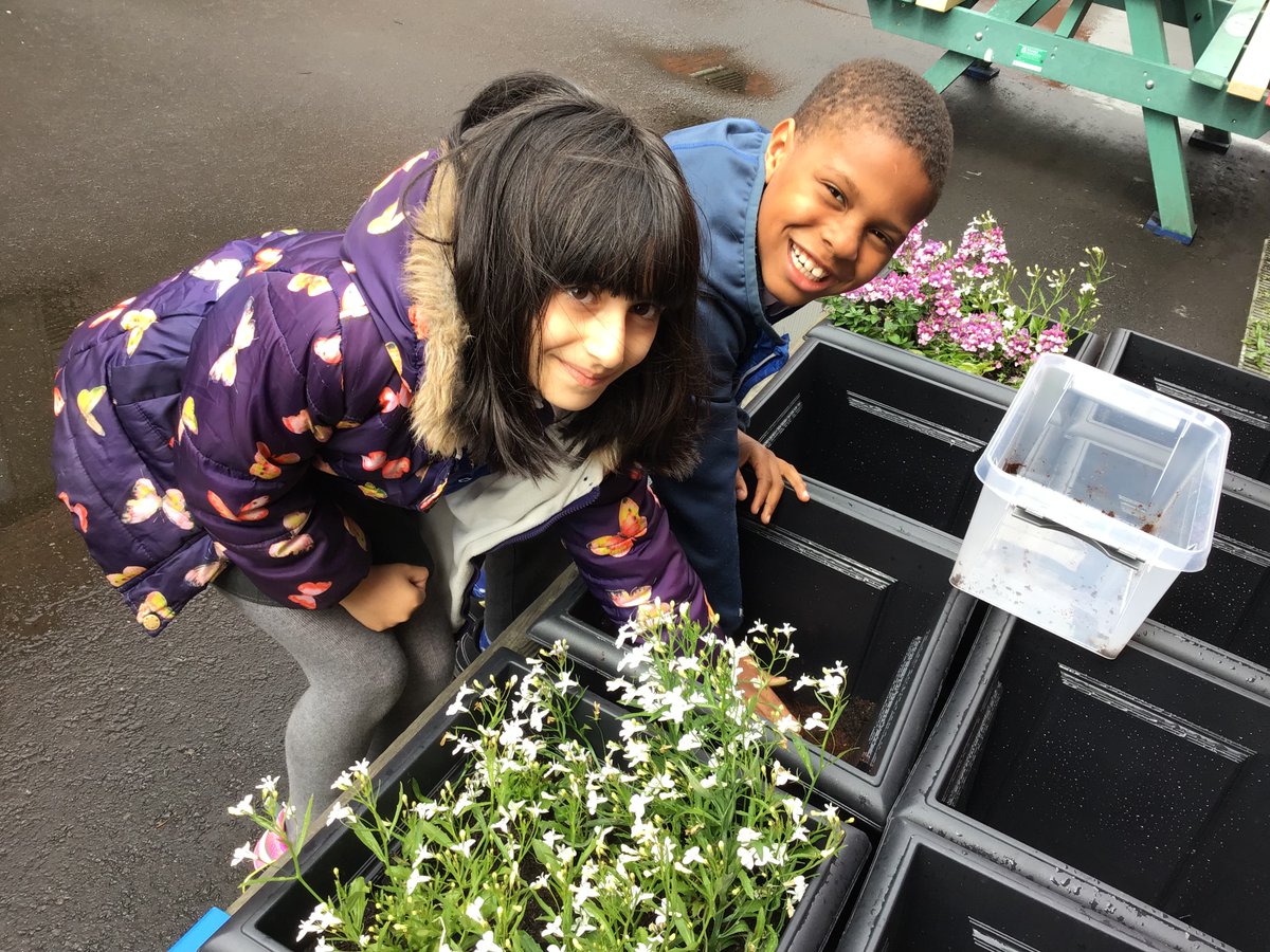 StBrendansYoker's tweet photo. P3 followed the steps and replanted their class seedlings π± today. They learned so much and really enjoyed making the connections between plants, flowers and bees. πͺ΄πΌπ #TheBeeBar https://t.co/U1OQrK1pI0