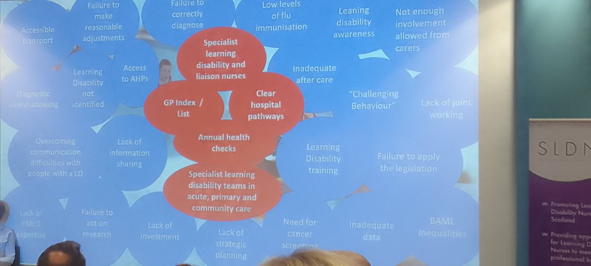Recommendations for improving  the health needs of people with learning disabilities <a href="/SLDNN6/">SLDNN</a> <a href="/SLDNN_Students/">SLDNN Students</a>  conference