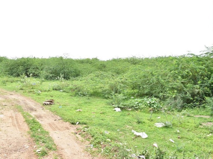 dkarthikTOI's tweet image. #Lalgudi town in #Trichy district to get a new bus terminus in about 4 acres. Next to it, a new municipality office has been proposed in 1.5 acres.
Location: Poovalur road. @timesofindia 
Around Rs 40 crores are to be allocated for the projects.