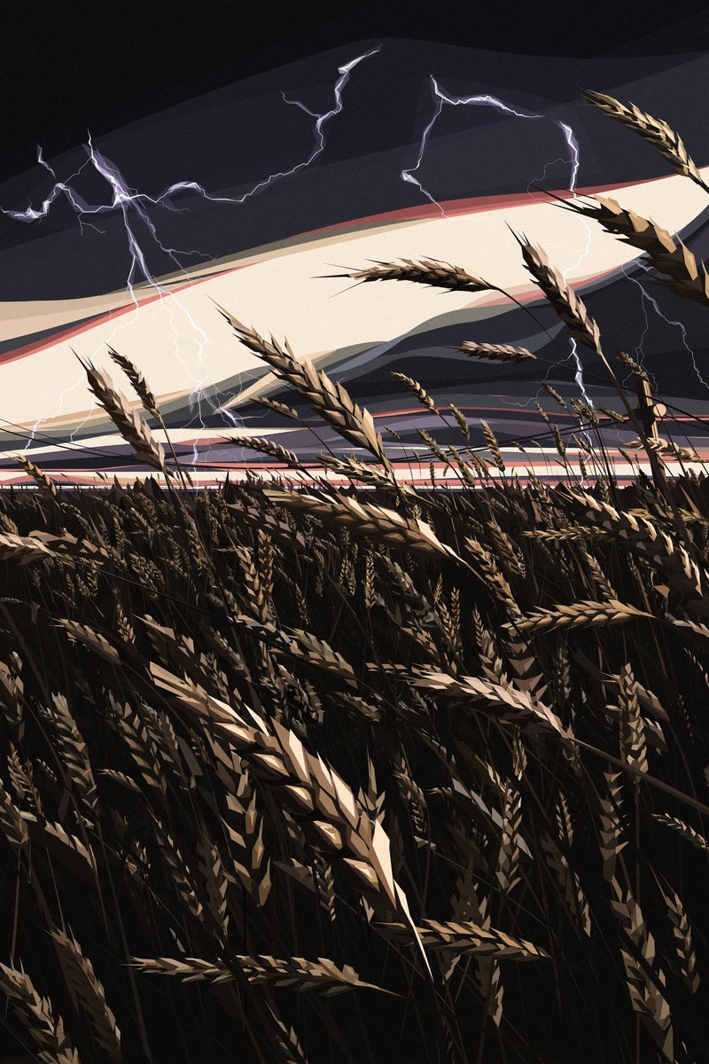 Dylan Wade tweet media