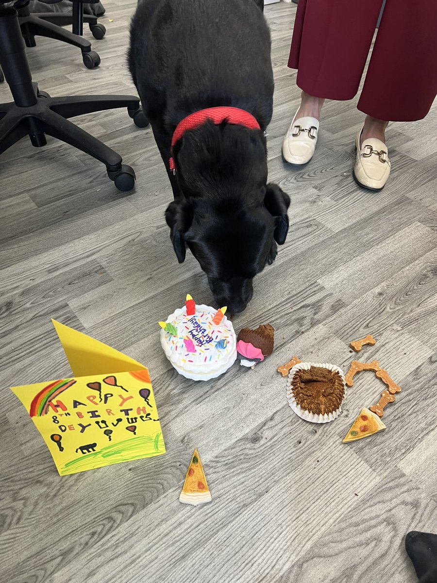 EngageAcademyUK (@engageacademyuk) on Twitter photo 🎶 🎂 Happy 8th Birthday, Poppy! 🐶
She’s definitely enjoyed her birthday presents, treats and cupcake that pupils brought in for her. <a href="/EthosAcadTrust/">EthosAcademyTrustUK</a> #nurture #semh #schooldog 🎶 🎂 Happy 8th Birthday, Poppy! 🐶
She’s definitely enjoyed her birthday presents, treats and cupcake that pupils brought in for her. <a href="/EthosAcadTrust/">EthosAcademyTrustUK</a> #nurture #semh #schooldog