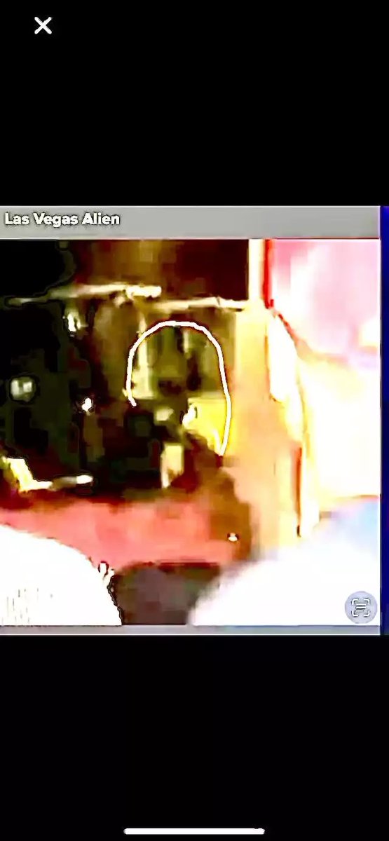 Adam 🇬🇧 tweet media