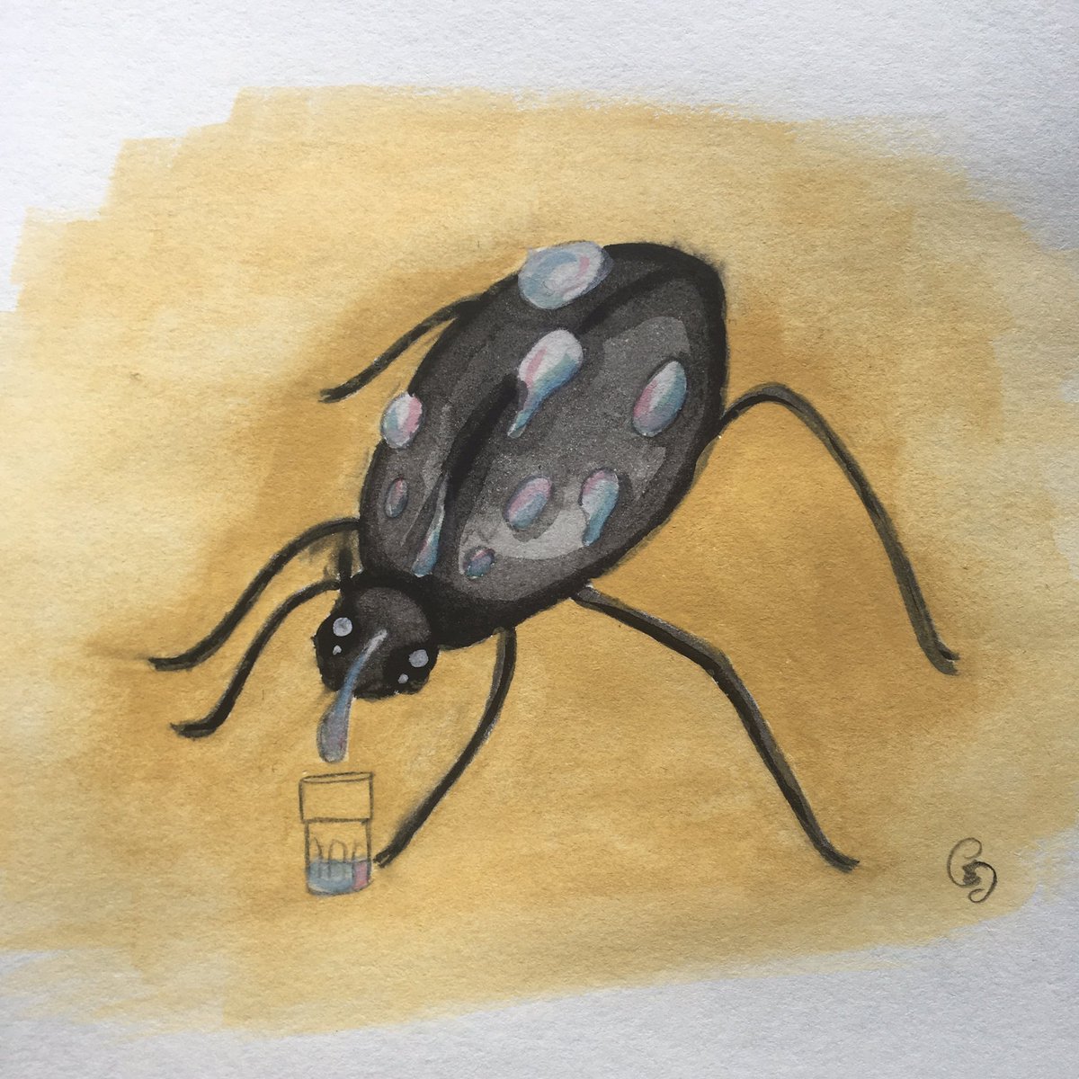 Marie_Crevette_'s tweet photo. Junebug jour 14: Namib Desert Beetle (Scarabée du desert de Namib) 

#bug #challenge #illustration #watercolor https://t.co/BqvBANAsjk