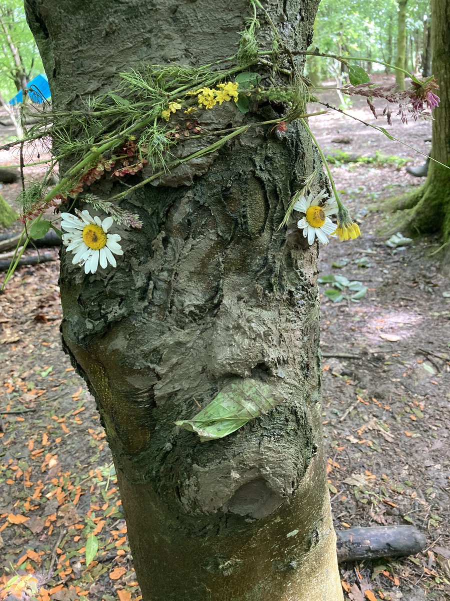 PipersForestSch's tweet image. Year 3 #pipersprep day continues with mud! #forestfun #pipersgrounds