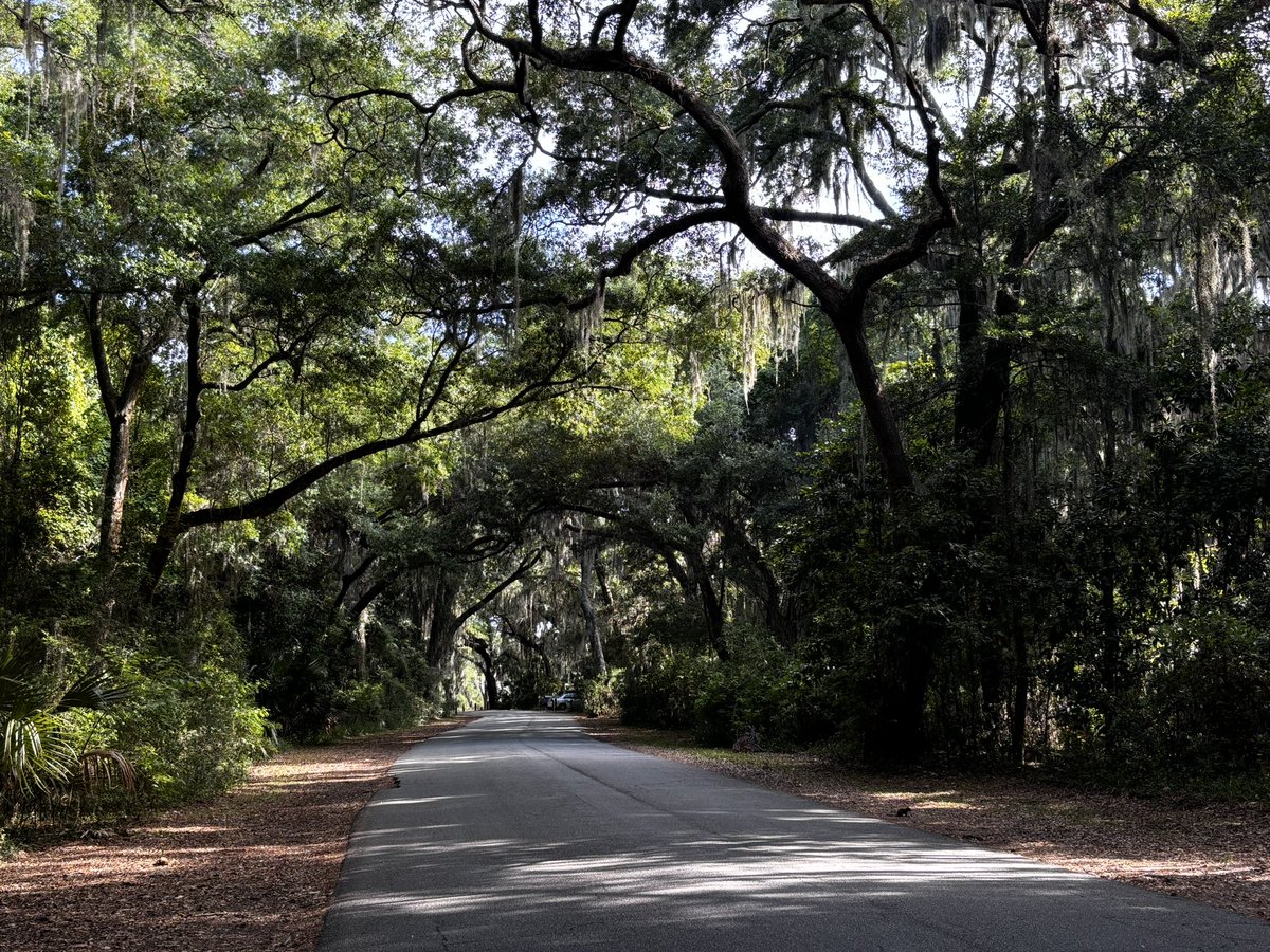 Jennifer Ross tweet media