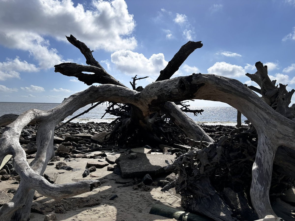 Jennifer Ross tweet media