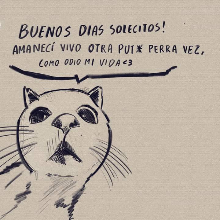 absurdamela's tweet photo. https://t.co/RnvsUMwKS4