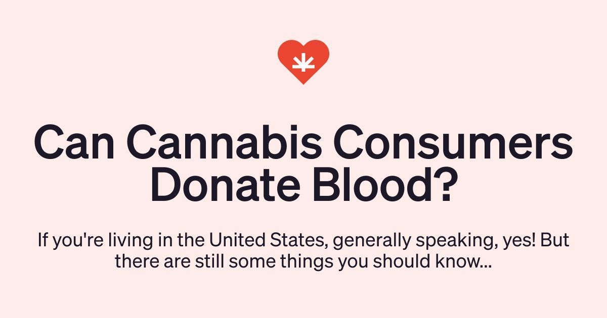 It's World Blood Donor Day. Cannabis consumers in the U.S. are able to donate blood, but what about in other countries?

Are you able to donate blood in your country as a cannabis consumer? 🩸

#CannabisCommunity #BloodDonors #DonateBloodSaveLives