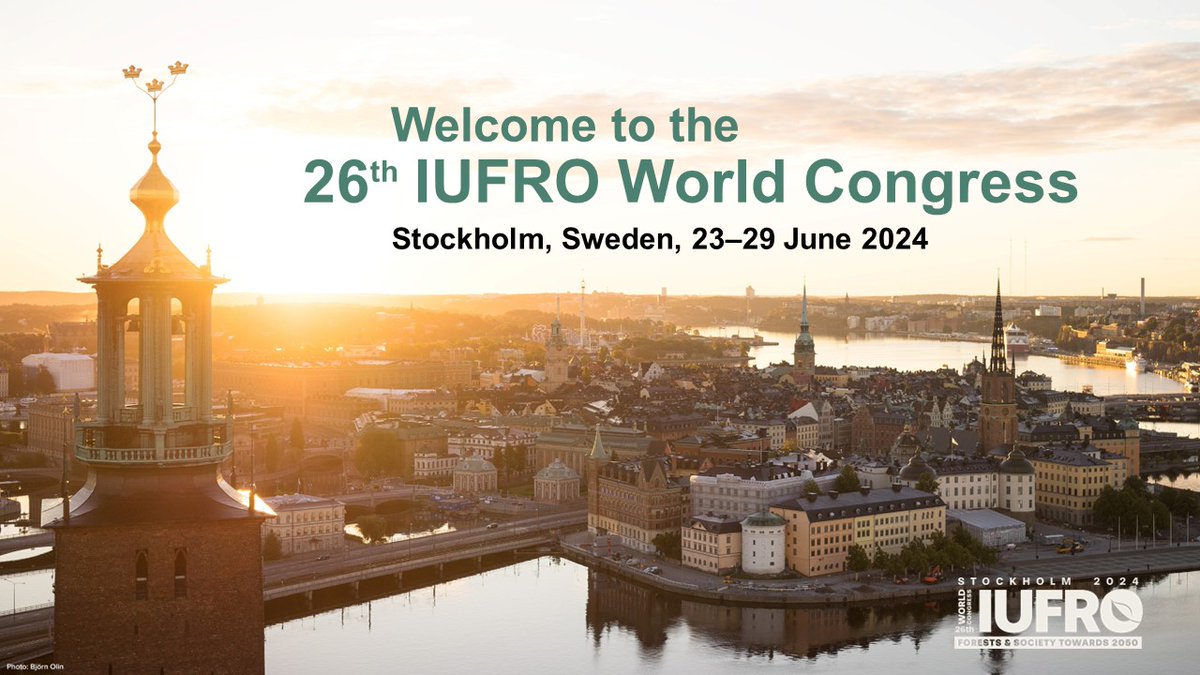 #metsäsuhde'tutkijat pian #IUFRO2024'ssa:
To 27.6. CEST 16-18: T4.17 Ambiguity in “taking care of the forest” &amp;
Pe 28.6. CEST 8.30-10.30: T4.33 Ways of knowing about multiverse of human-forest relationships: methodological approaches
IUFRO Stockholm 2024 (iufro2024.com)
