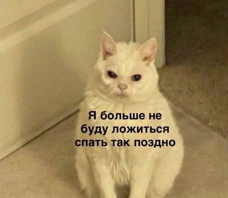 RussianMemesLtd's tweet photo. I won't stay up so late anymore https://t.co/lZEJFJlZP7