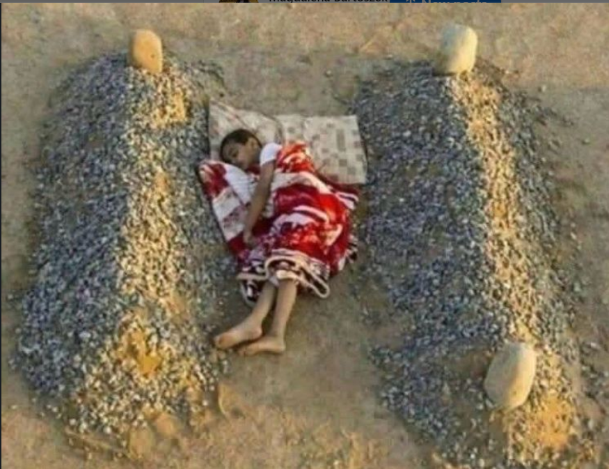 karimelbahi01's tweet photo. 💔Palestine💔 https://t.co/BM7wF288lf