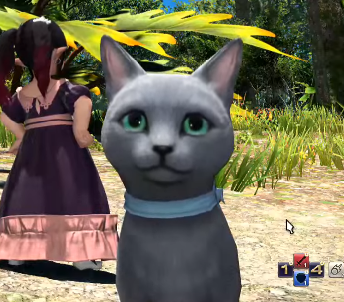 Kaiyoko 💫 (@kaiyokostar) on Twitter photo 