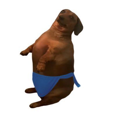 izephi's tweet photo. @mferws $subo has a thiccer one.
The sumo Weiner dog https://t.co/boHpqTxqv8