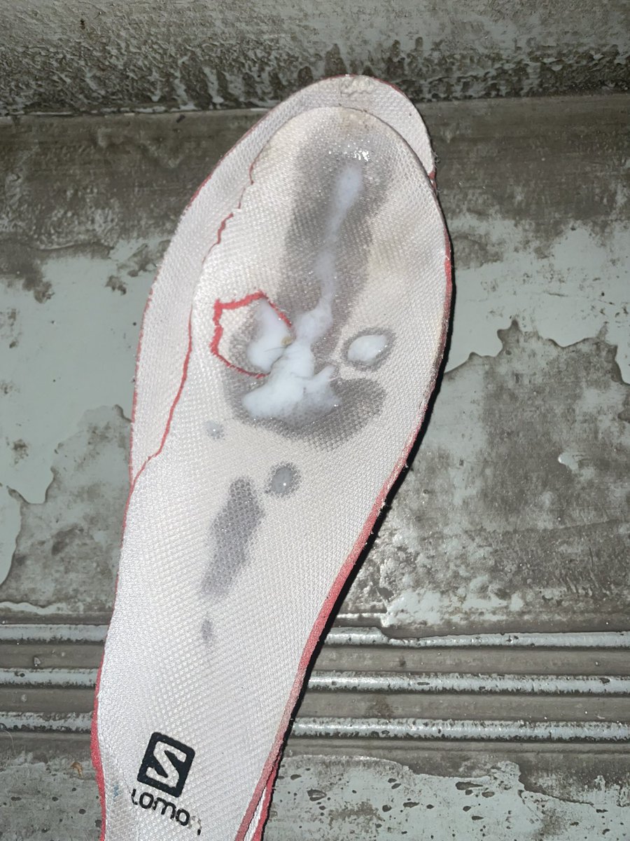 新鲜直出  本来扫完一整幢楼毫无收获打算回家   刚好看到一对情侣遛狗回家    一看鞋子这不就眼熟了吗   另一双不在的鞋就穿在他脚上   总是来不及拍下脸照   不过是帅的   马上上了另一个电梯   速战速决生怕人马上出来    热气腾腾还是破洞的鞋垫别提有多香了   感觉可能是两个鞋垫换着穿