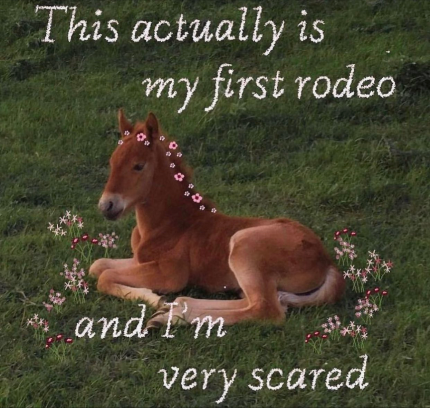 entropy (@ennntropy) on Twitter photo 