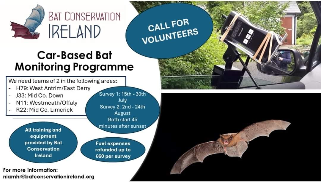 🦇CALL FOR VOLUNTEERS🦇

<a href="/BatConservIre/">Bat Conservation Ire</a> are looking for volunteers to help with their 🚗 🦇monitoring programme in #NorthernIreland in areas H79 &amp; J33 

#LoveBats #wildlife #conservation #IrishBats #volunteer