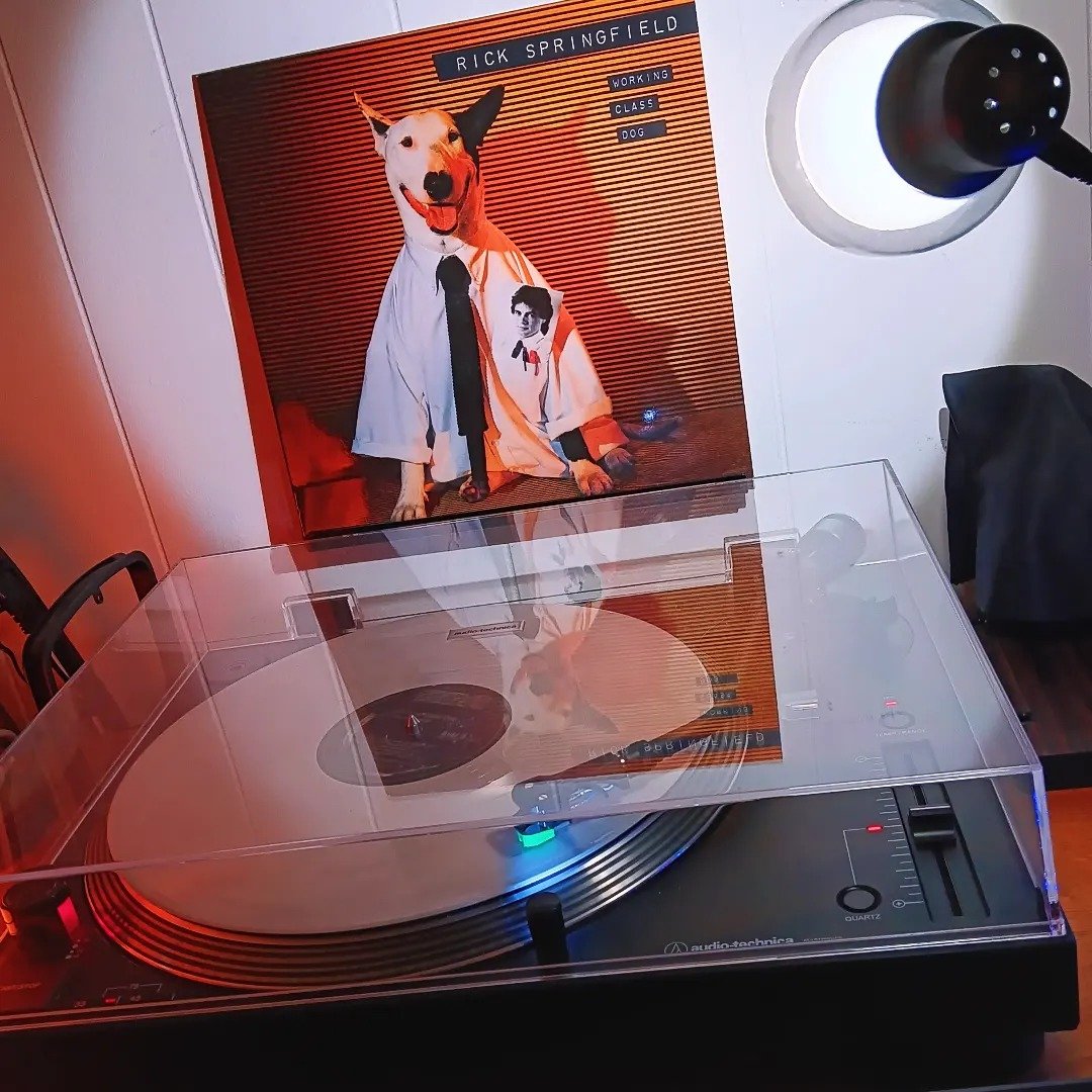 dfestini's tweet photo. Today's #WFHSoundtrack is a #powerpop classic and easily a #desertislanddisc for me - @rickspringfield and "Working Class Dog"!! #turnitwayupš„ @USAudioTechnica @MusicOnVinyl https://t.co/n1WtbZL9Wm