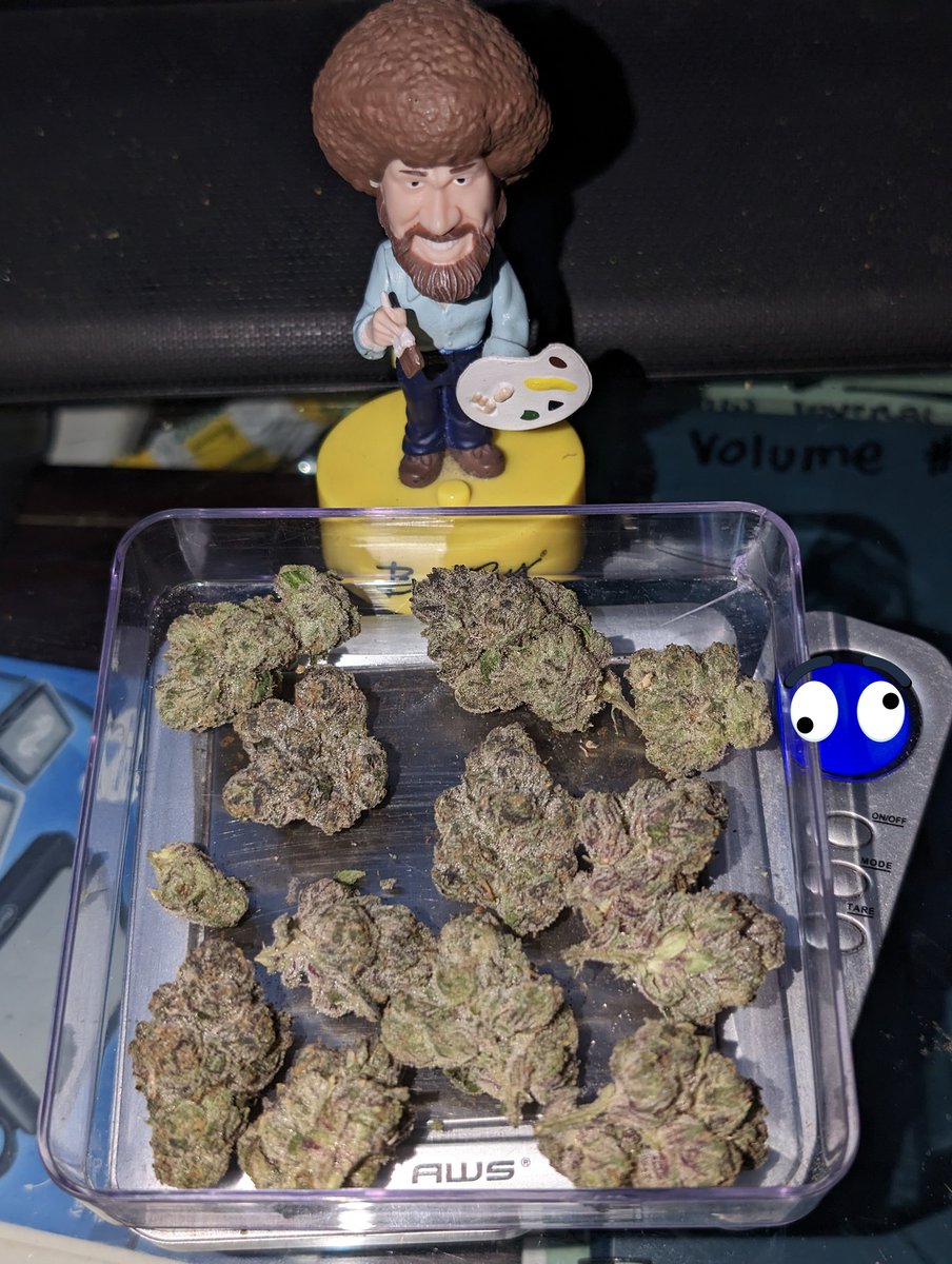 Novacotton tweet media