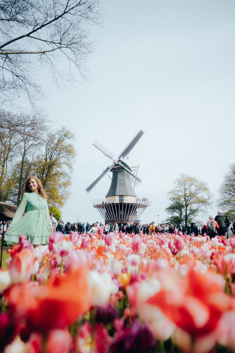 hharryhho's tweet photo. 𝙋𝙤𝙨𝙩𝙘𝙖𝙧𝙙𝙨 𝙛𝙧𝙤𝙢 𝘼𝙢𝙨𝙩𝙚𝙧𝙙𝙖𝙢, 𝙉𝙇. 🇳🇱

Captured w/ #a7iii #24mm14 
Edited w/ @lightroom #madewithlightroom https://t.co/PM7teaYo3L