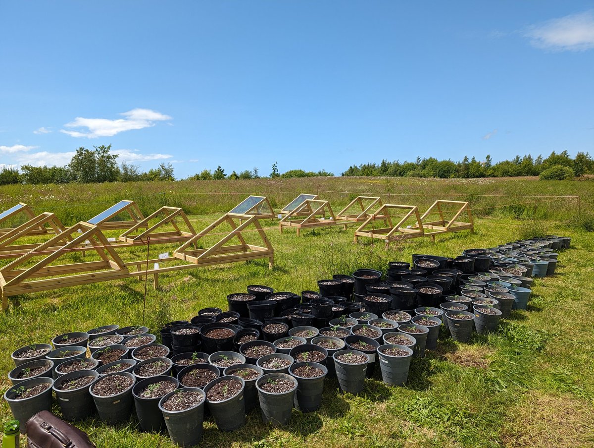 Sven Batke tweet media