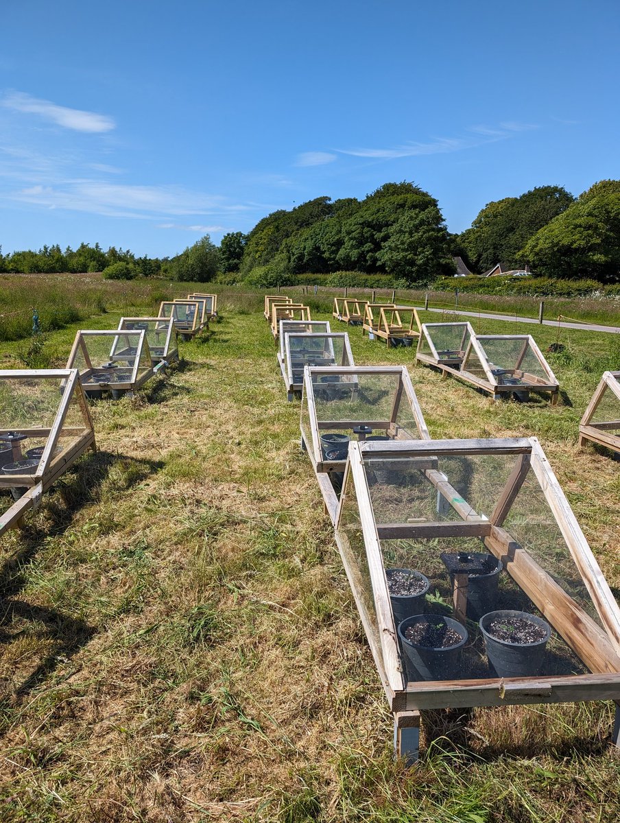 Sven Batke tweet media