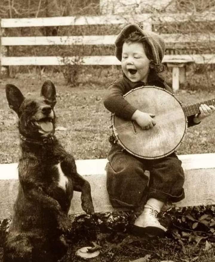 GRamirezF_D12's tweet photo. Quien no puede ver a los animales como amigos...
Se pierde uno de los mayores regalos que puede sentir el Corazón. 🐾🕊️💞❤️ https://t.co/JvsvmVJ2bX