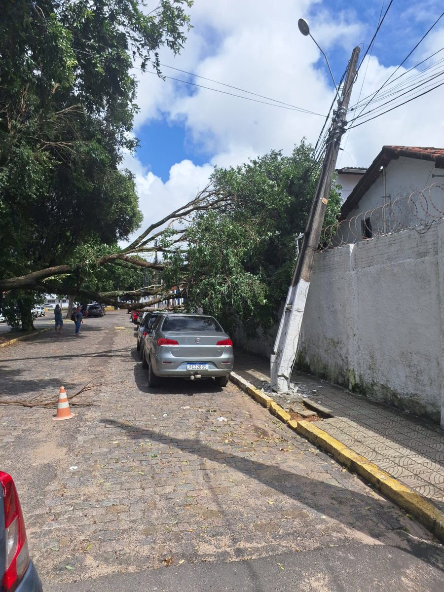 *STTU INFORMA*

Queda de árvore na rua dos Pajeús x Presidente José Bento.