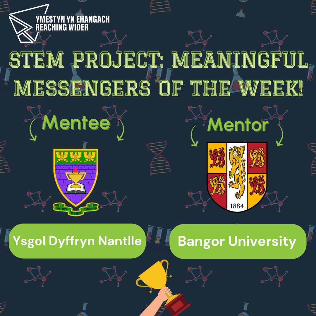 Reaching Wider Mentoring tweet media