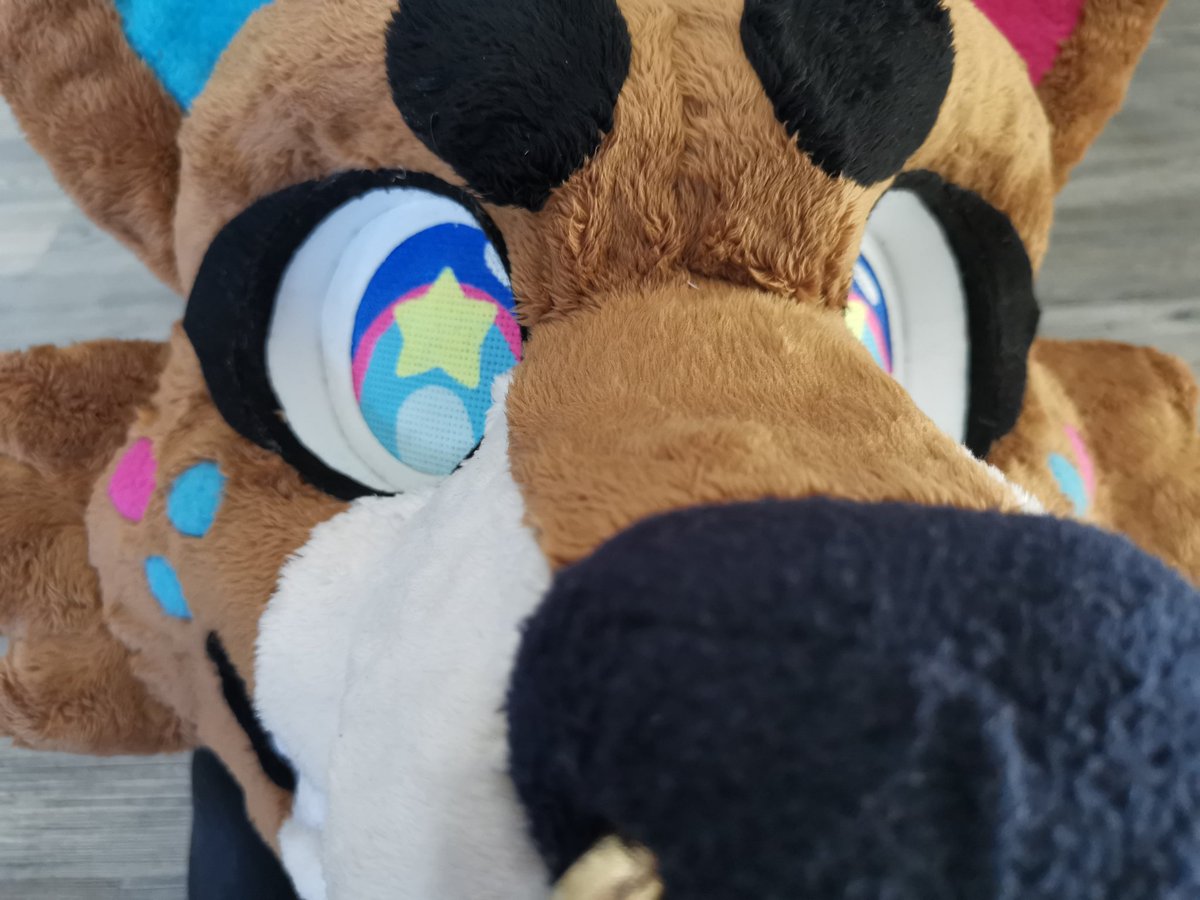 Blue_0possum's tweet photo. @Skyehighstudios Very late but I will never shut up about my bebe boi King. Lil man took 2 years and changed designs three times https://t.co/vtGYfLt73z