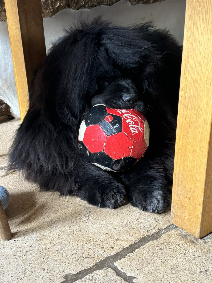 Ready for the football! #euro2024