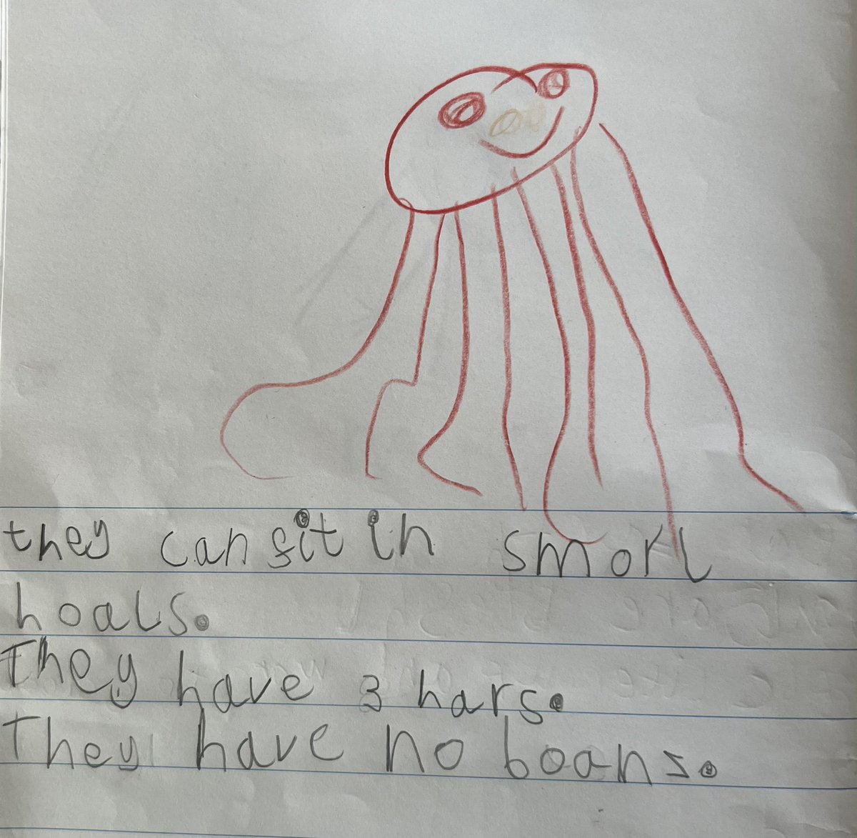 SBPS Ducklings tweet media