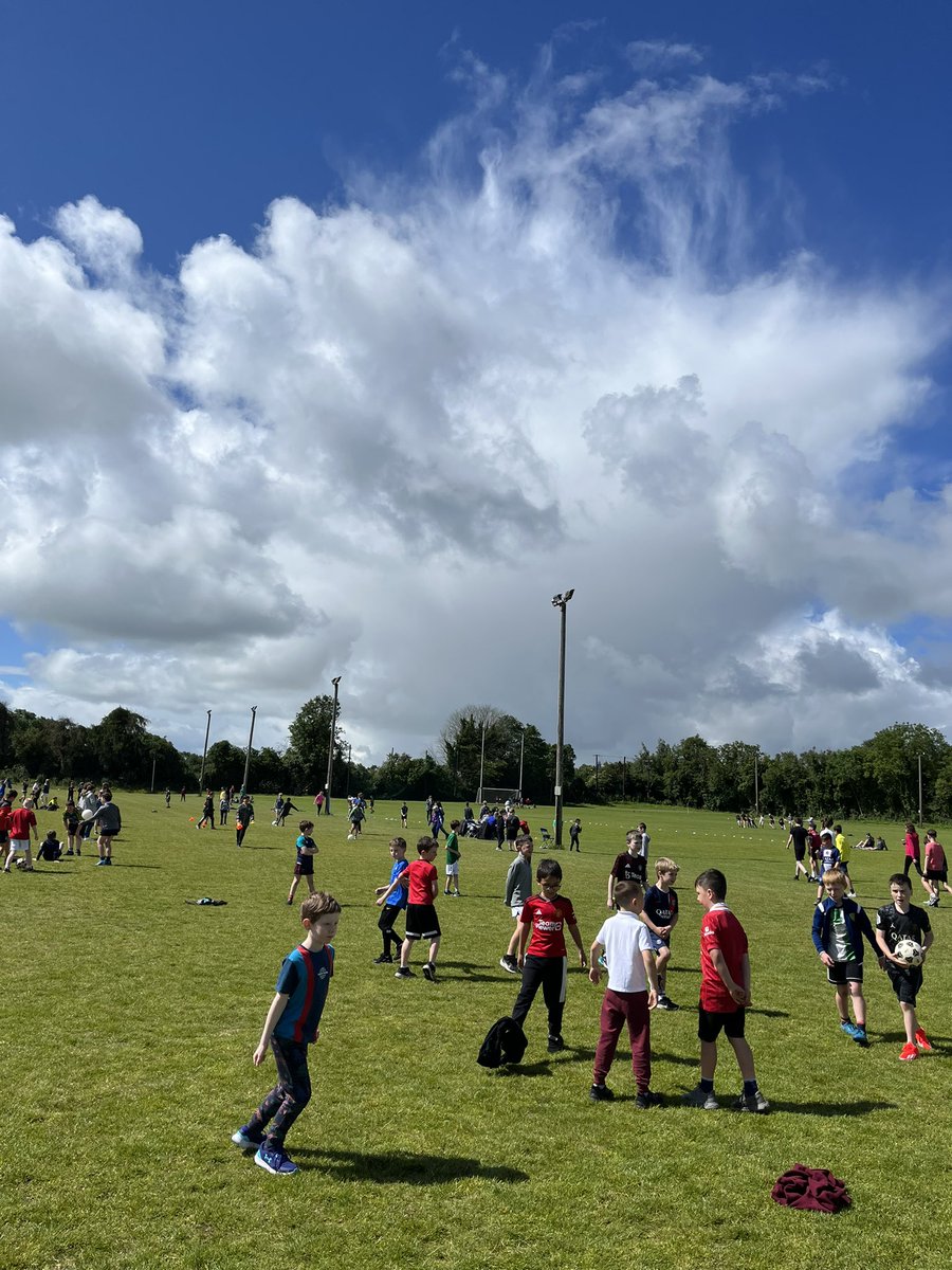 Scoil Phádraig Clane tweet media