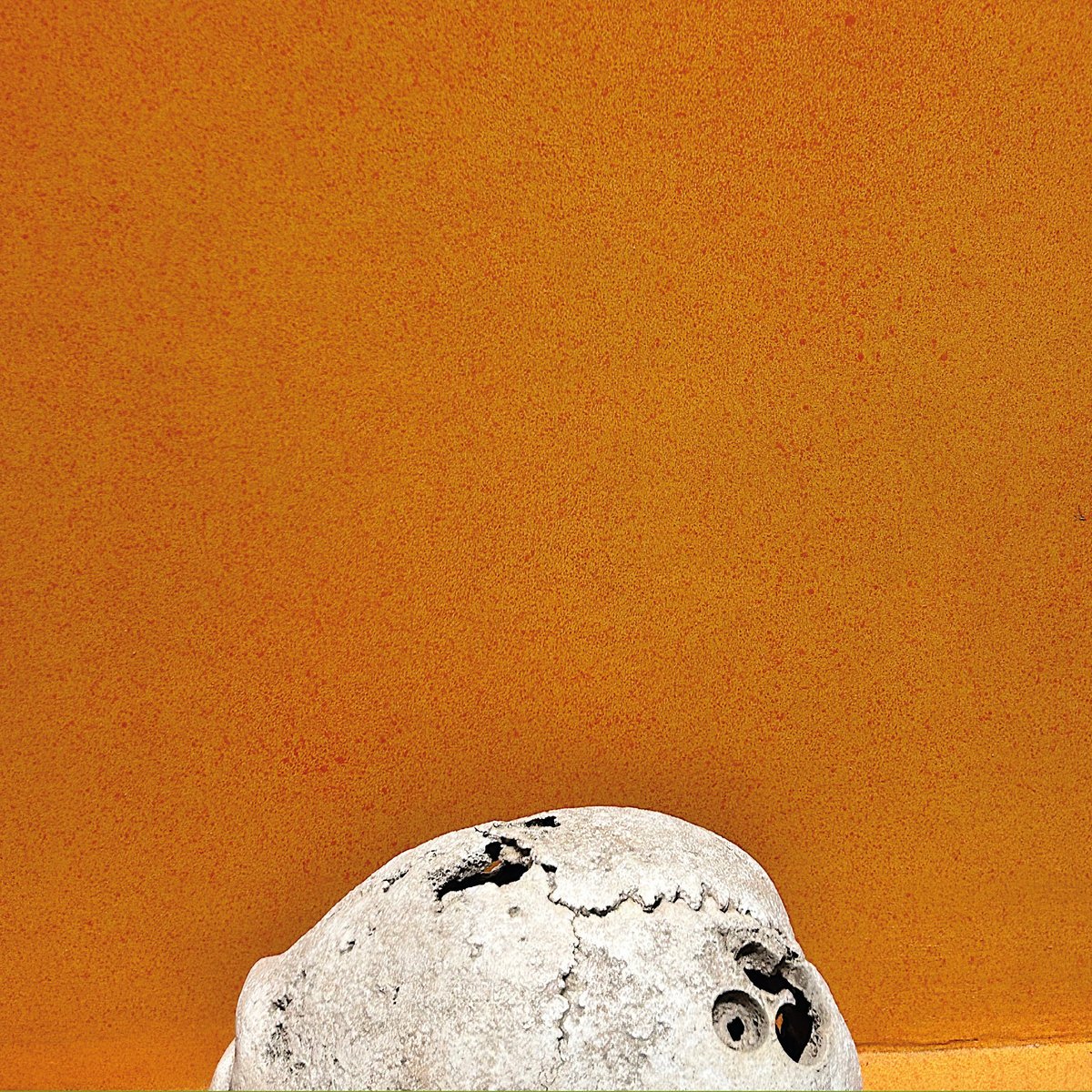 David James 🍩 tweet media