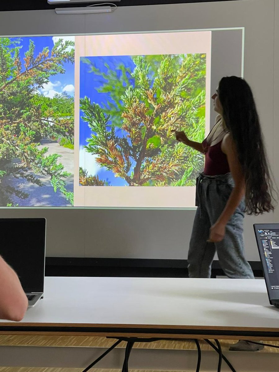 TreePathoMycoLab Freiburg 🧬🌲🌳🍄🪵🦠🧫🔬 tweet media