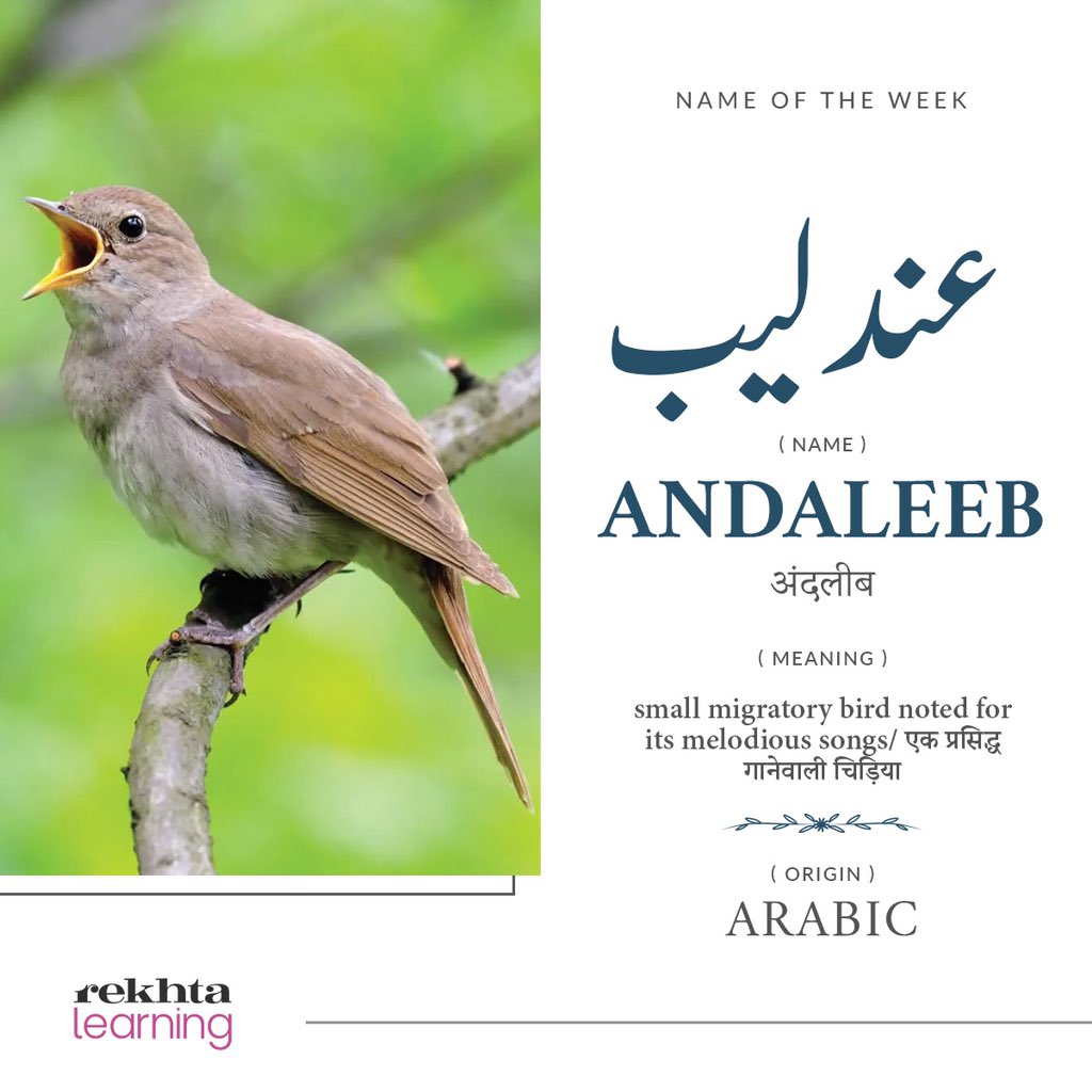 Andaleeb is a popular Arabic-originated name meaning small migratory bird know for its melodious songs.

Mention an ‘Andaleeb’ you know in the comments.

#nameoftheweek #andaleeb #urdu #rekhtalearning