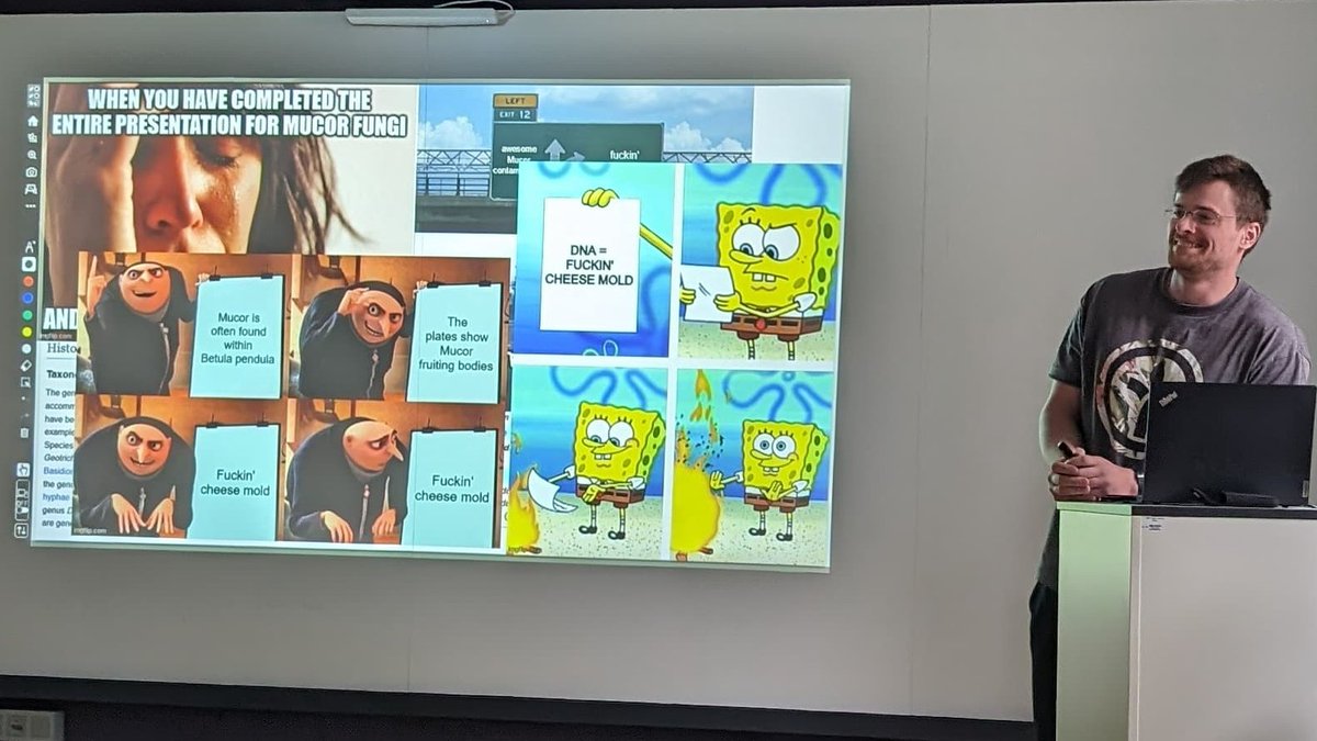 TreePathoMycoLab Freiburg 🧬🌲🌳🍄🪵🦠🧫🔬 tweet media