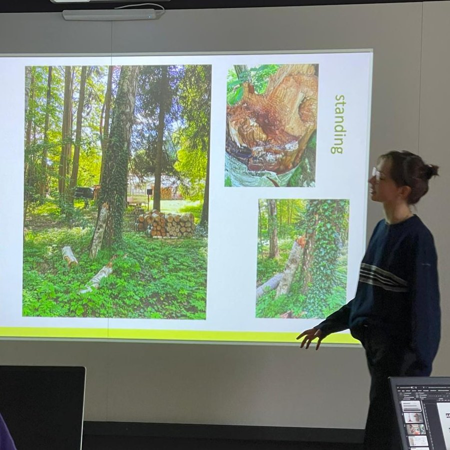 TreePathoMycoLab Freiburg 🧬🌲🌳🍄🪵🦠🧫🔬 tweet media