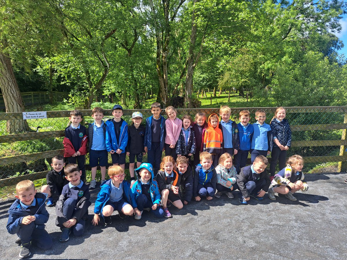 clonmacnoisns's tweet image. Junior &amp;amp; Senior Infants had a brilliant day on their tour at Turoe Pet Farm and finished with ice pops! 🍦🐐🌞