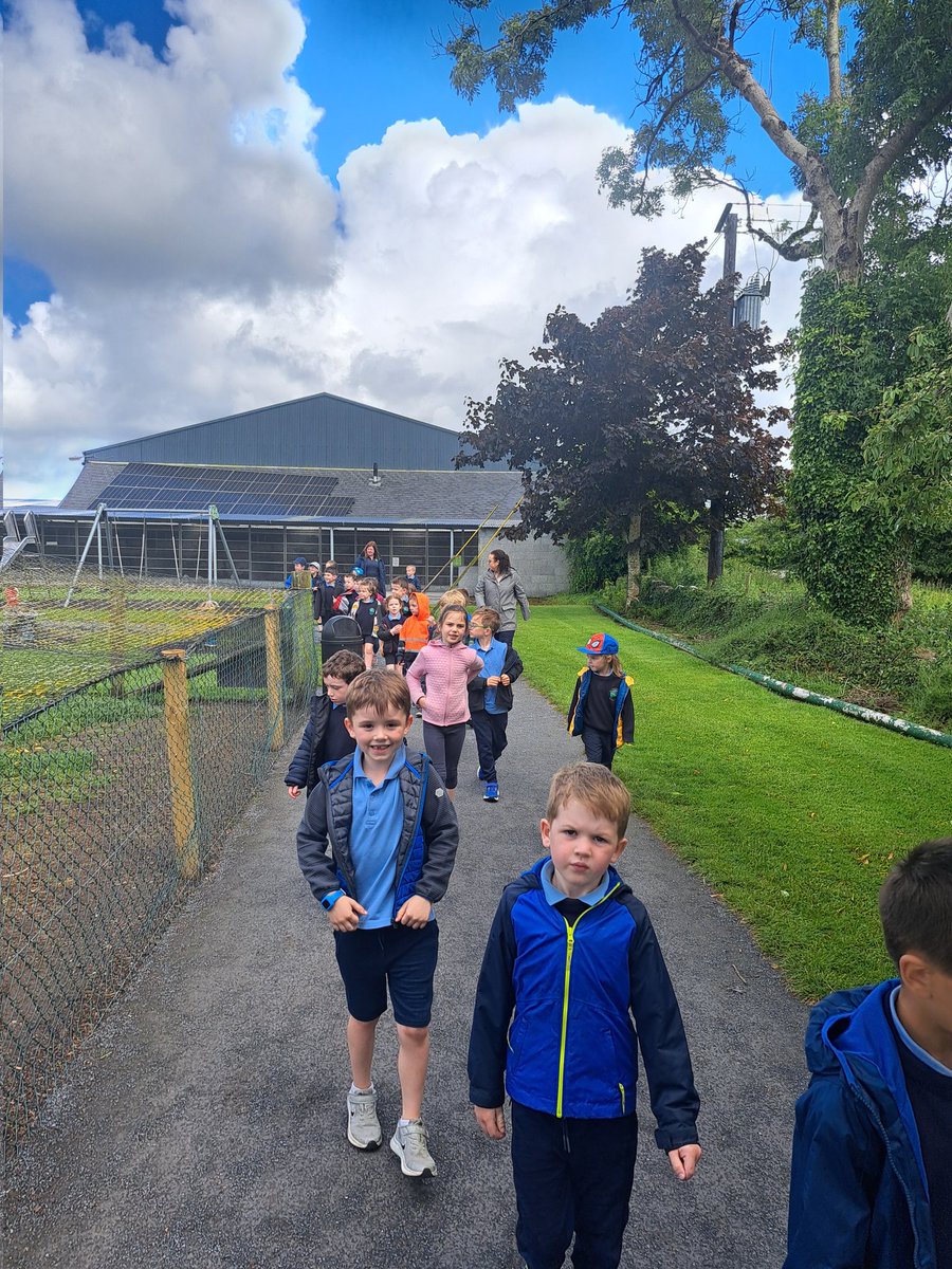 clonmacnoisns's tweet image. Junior &amp;amp; Senior Infants had a brilliant day on their tour at Turoe Pet Farm and finished with ice pops! 🍦🐐🌞