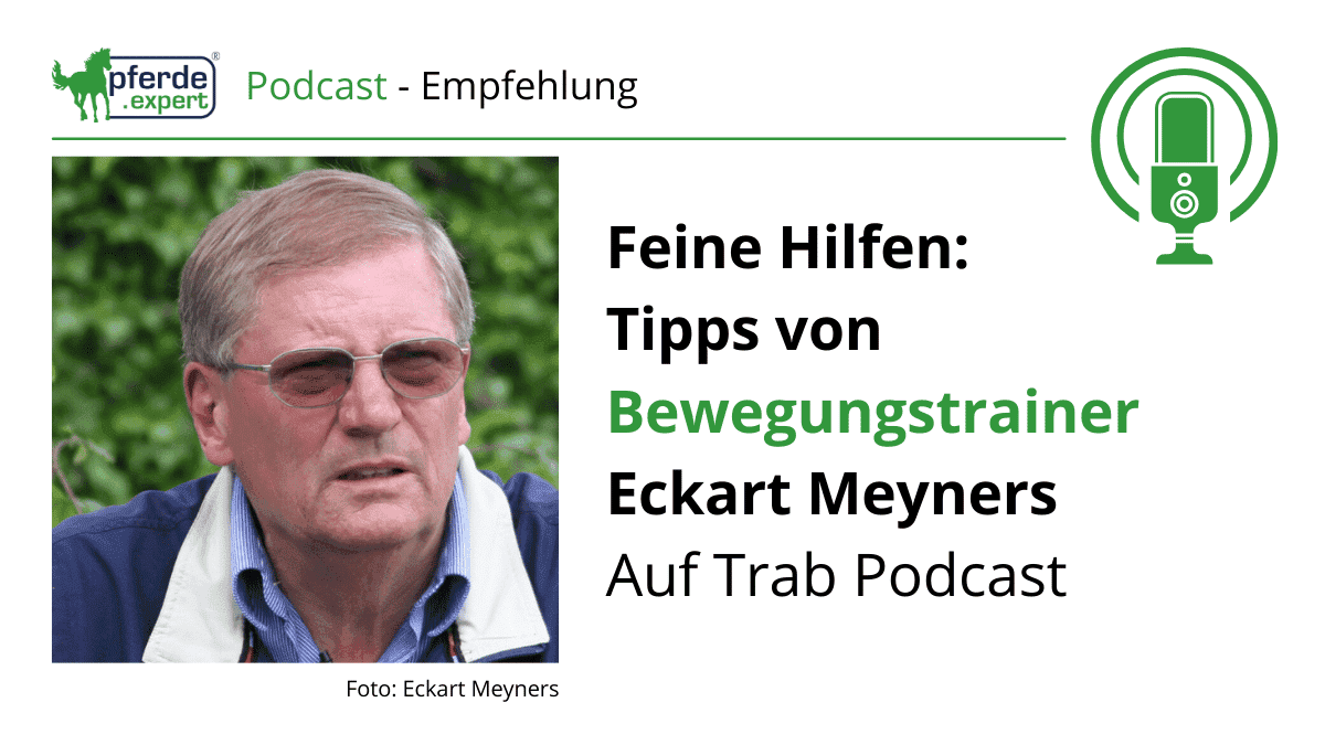 pferde.expert/blog/Feine-Hil…
#podcast #reiten #pferde #doitride