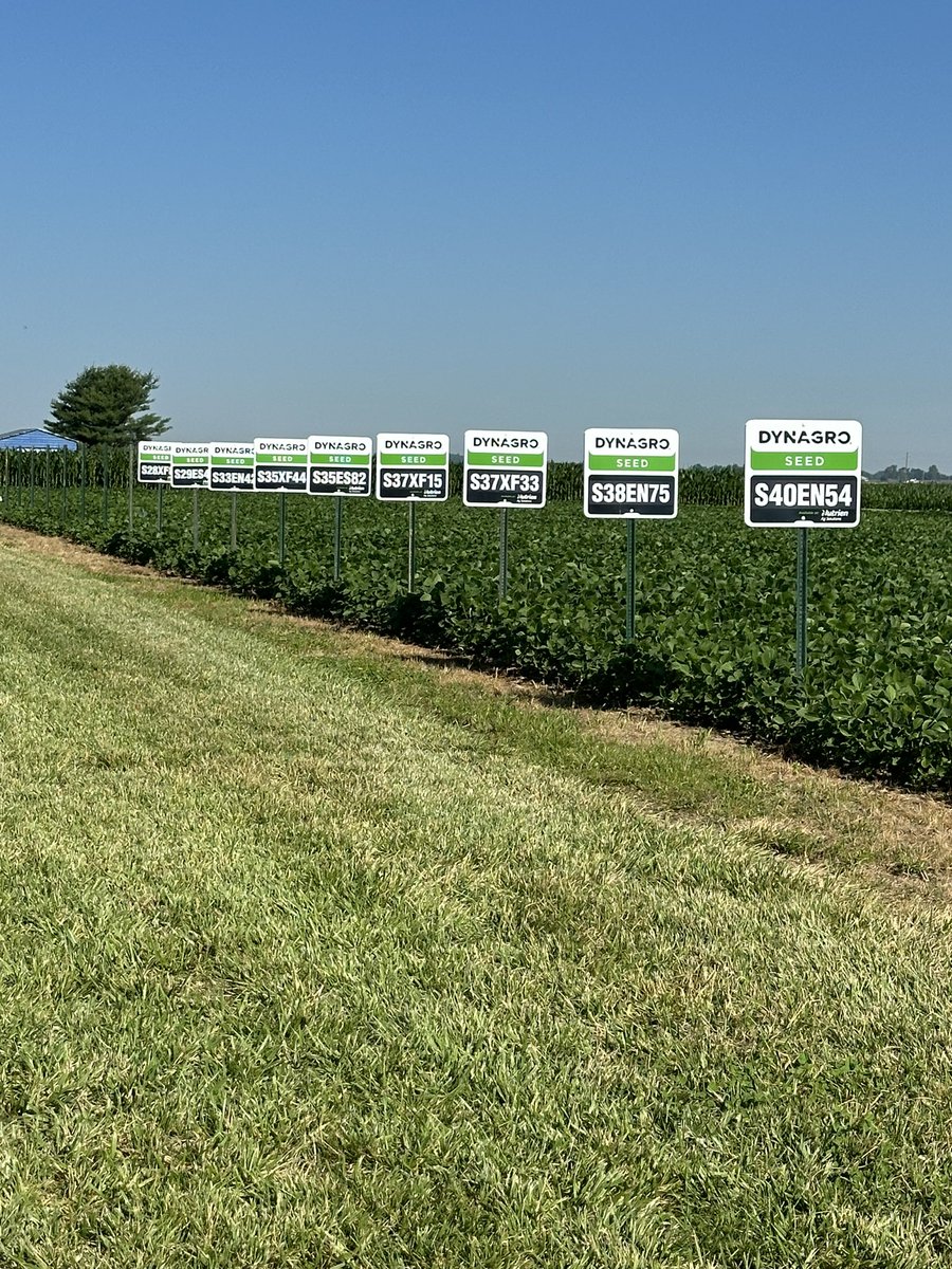 Riley Laber tweet media