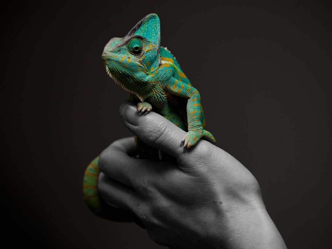 HatuaTechLtd's tweet image. 💡 Fun Fact: BC bends to your will!

Unlike some software, Microsoft BC lets you customize it for your business.  It&apos;s more like a chameleon for your data than a one-size-fits-all program.  

#MicrosoftBC #BendDontBreak #CustomizedForYou