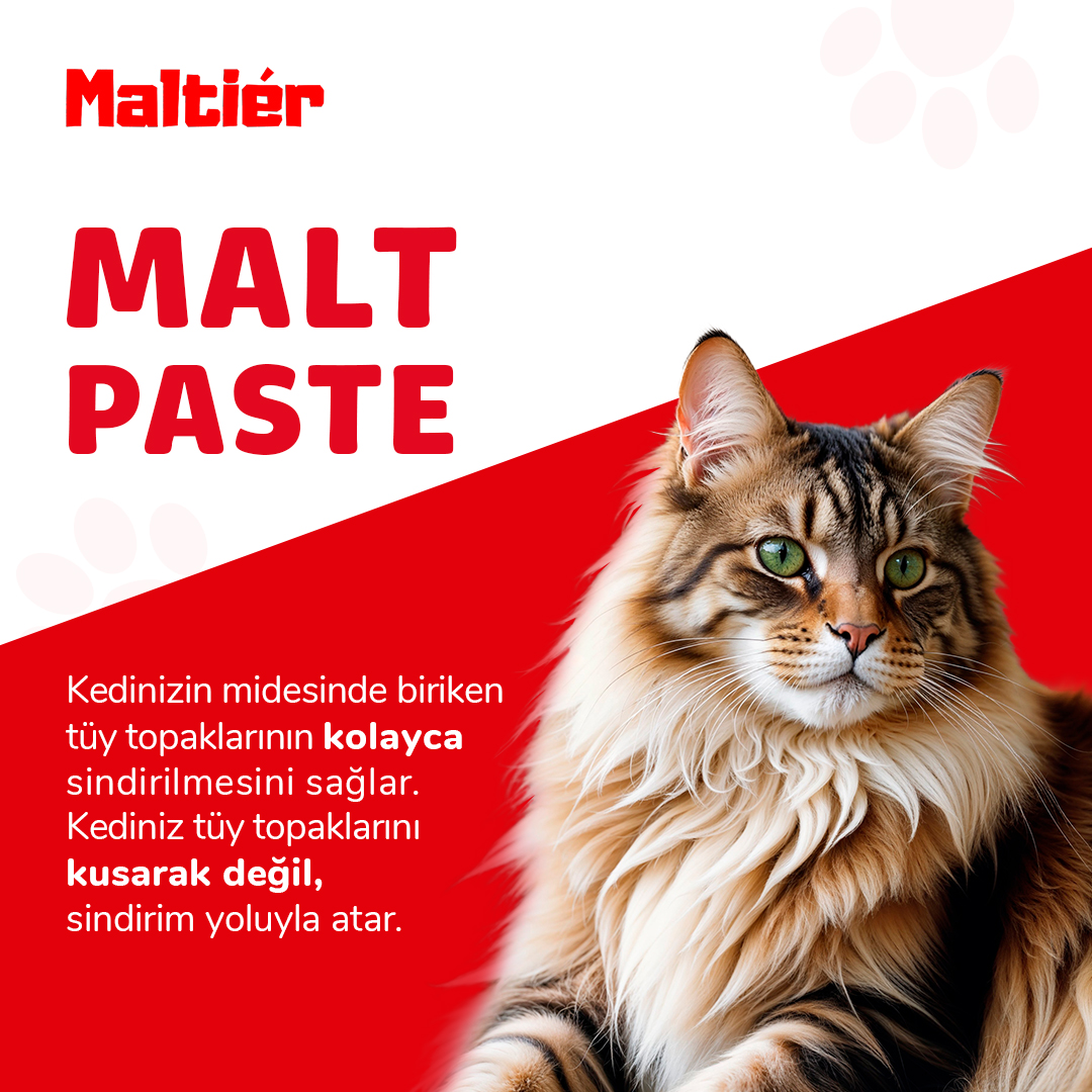 maltier_tr's tweet photo. Maltier Malt Paste ile dostlarımız için en iyisini sunuyoruz. Düzenli kullanımda tüy topaklarının kolayca sindirilmesini sağlar. Kediniz tüyleri kusarak değil, sindirim yoluyla atmasında yardımcı olur.

#kedi #maltpaste #maltier #düzenlikullanım #patidostları https://t.co/Vq7x23oO8f