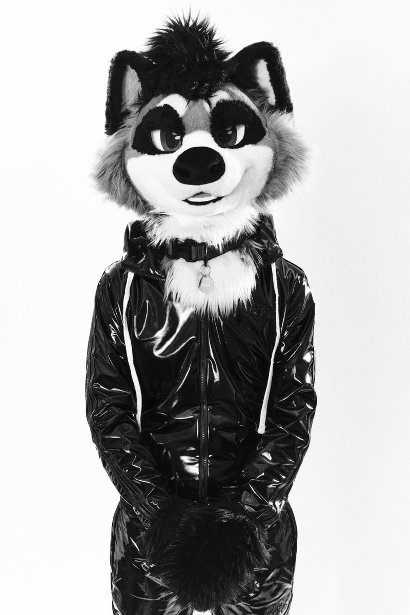 Roon 🏳️‍🌈 tweet media