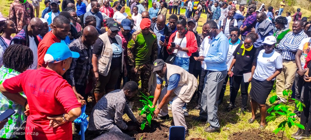 KUGreenEduHub's tweet photo. Today,the Green Education Hub joined @KenyattaUni ,@AfricaGreens @KeEquityBank KU branch and other partners for a tree planting at the KU Dairy Farm.@WillieMutuma together with other hub ambassadors attended  the event. https://t.co/bUL2X6qIQZ