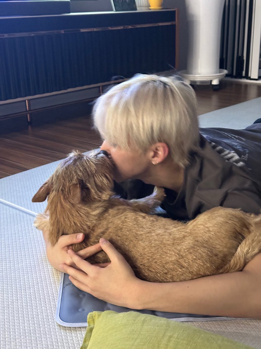 VvmosvV's tweet photo. 호시야 생일 축하해
🐅 어제도 오늘도 내일도 매일매잉 호랑해 !

#호시의_생일에맞춰_푸쳐판쵸산쵸
#HorangiHOSHIday https://t.co/MZD6gC6kyR