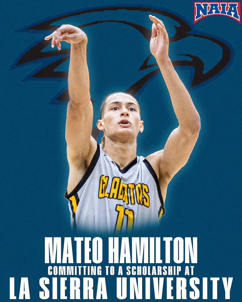 Gladiator Basketball tweet media