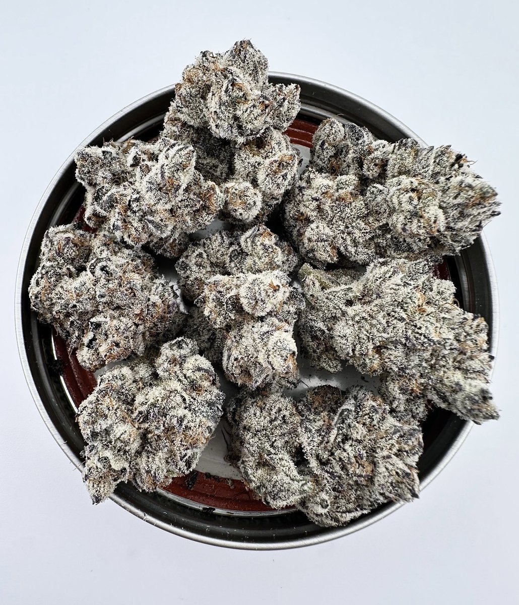 🫐🍪🫐 Lucky 13 (Cookies &amp; cream #13 x Blueberry Bang Bang)!!! Sour Blueberry cookies, that’s all I’m gonna say! Available now on exoticgenetix.com!!! 🤙🏼🤙🏼🤙🏼 #lucky13 #blueberrybangbanglineup #exoticgenetix #itsalifestyle
